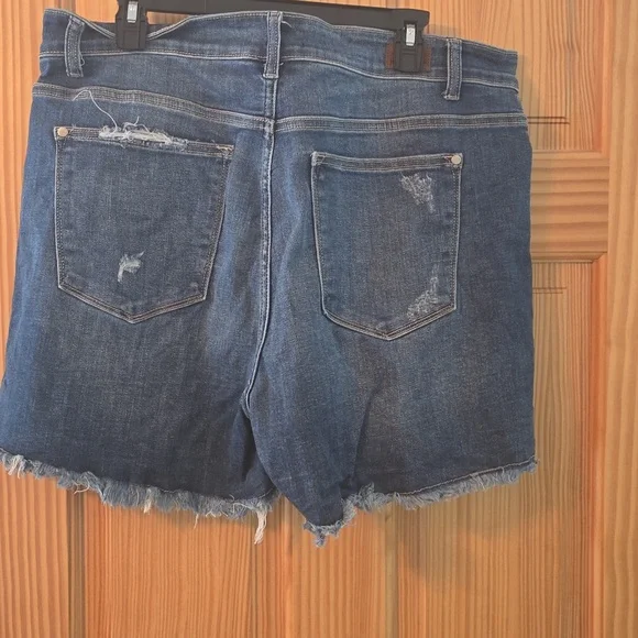 Judy Blue Ripped Blue Jean Shorts - Picture 2 of 5